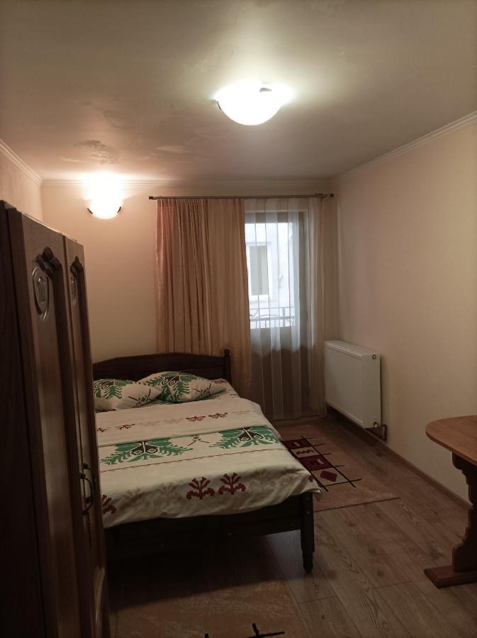Vila Alpina Olănești Apartment Băile Olăneşti Exterior foto